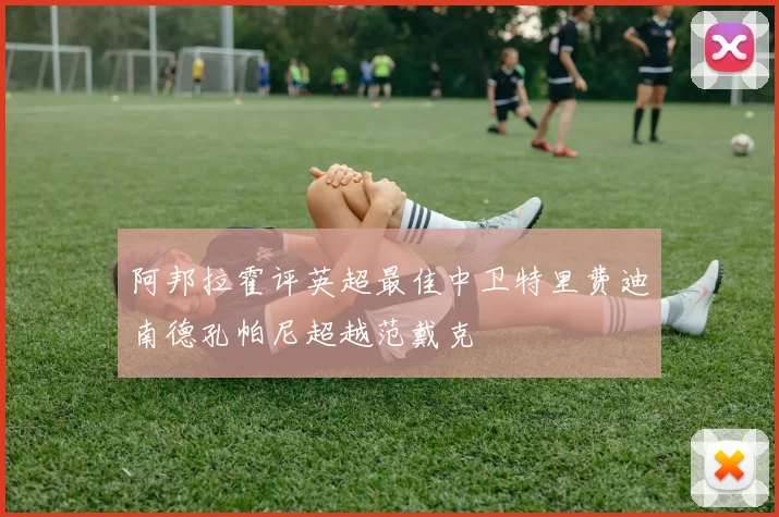 阿邦拉霍评英超最佳中卫特里费迪南德孔帕尼超越范戴克