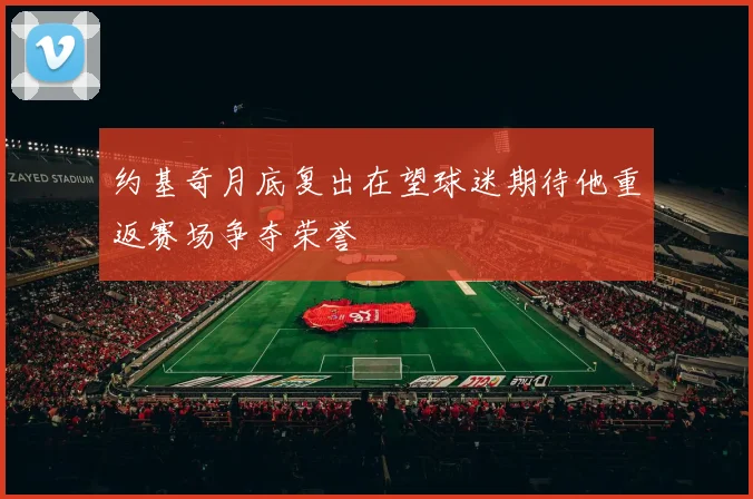 约基奇月底复出在望球迷期待他重返赛场争夺荣誉