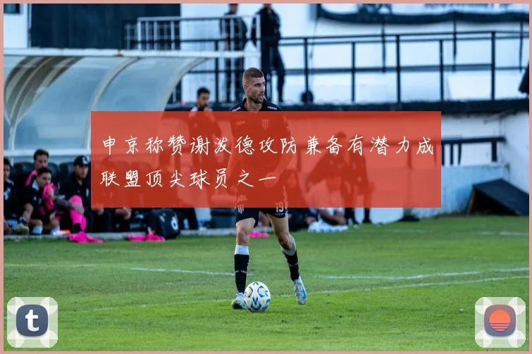 申京称赞谢泼德攻防兼备有潜力成联盟顶尖球员之一